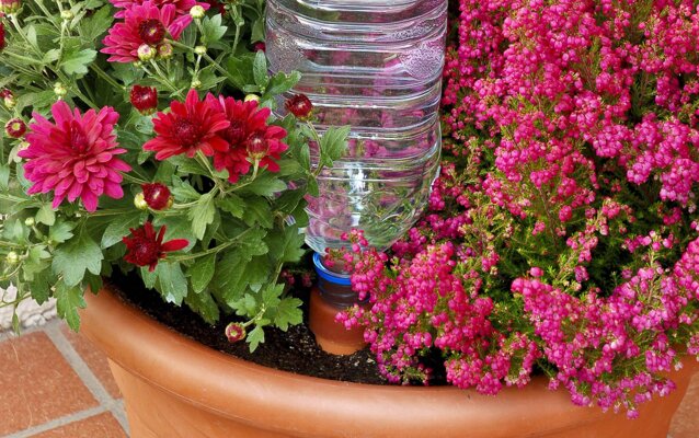  Blumat Easy is the simple watering system with...