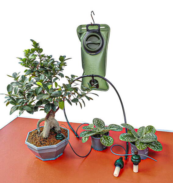 Tropf-Blumat Bonsai Set2+ mit Wasserbeutel