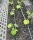 BluSoak 3.0 Tropfschlauch PE 15
