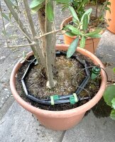 BluSoak 3.0 - Set Tropfring 30-6