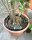 BluSoak 3.0 - Set Tropfring 30-6
